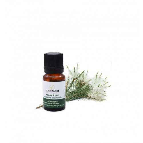 ALMAFLORE HUILE ESSENTIELLE ARBRE À THE 10ML